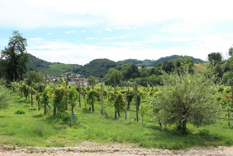 Agriturismo Mazzeracca Bassano del Grappa Exterior photo